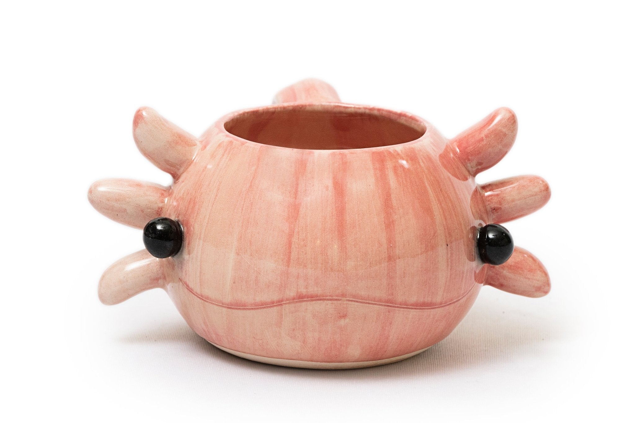 Sip Axo Mug - Reef Treasure Mug Collection - Modern Mexico