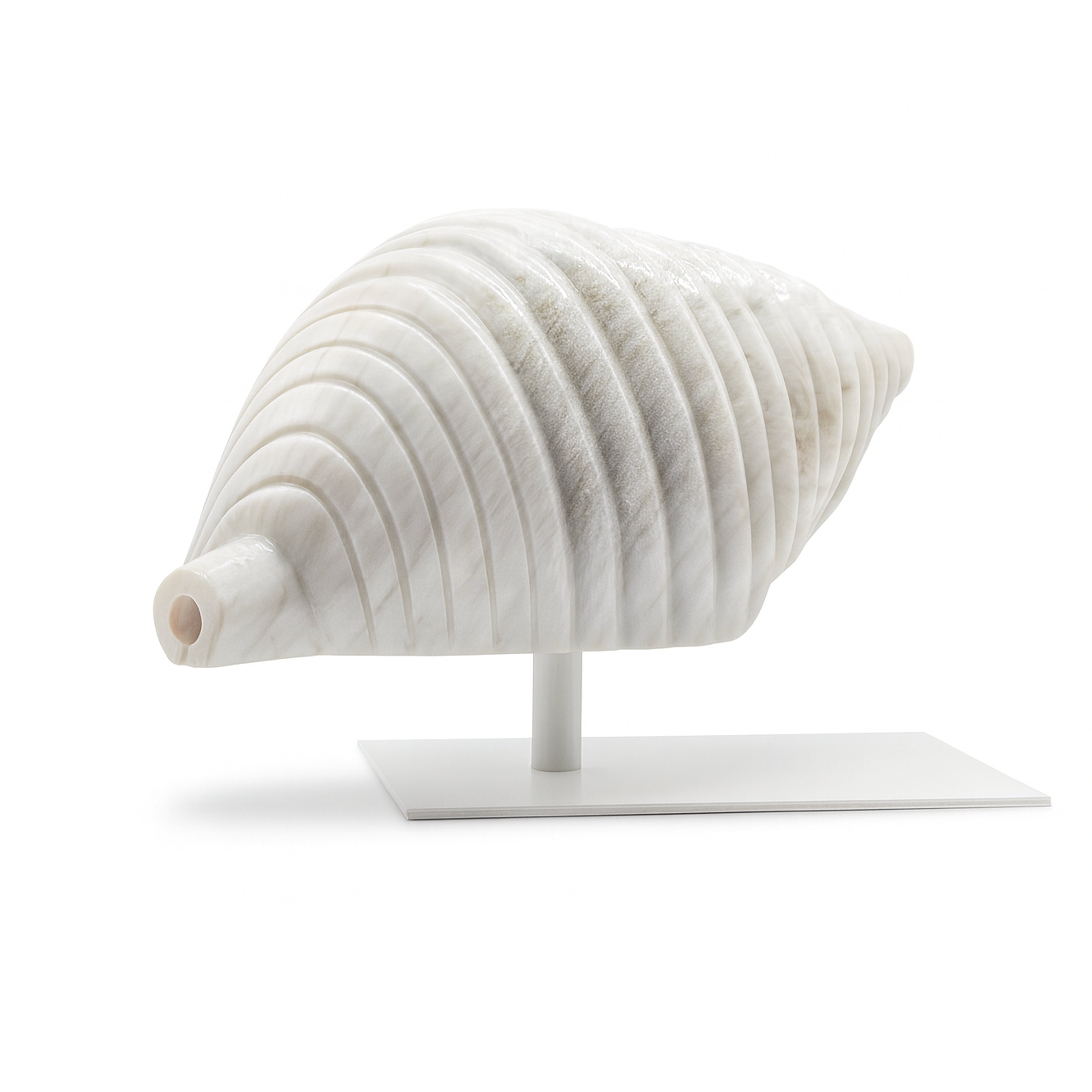 Sea Whisper Seashell - Modern Mexico