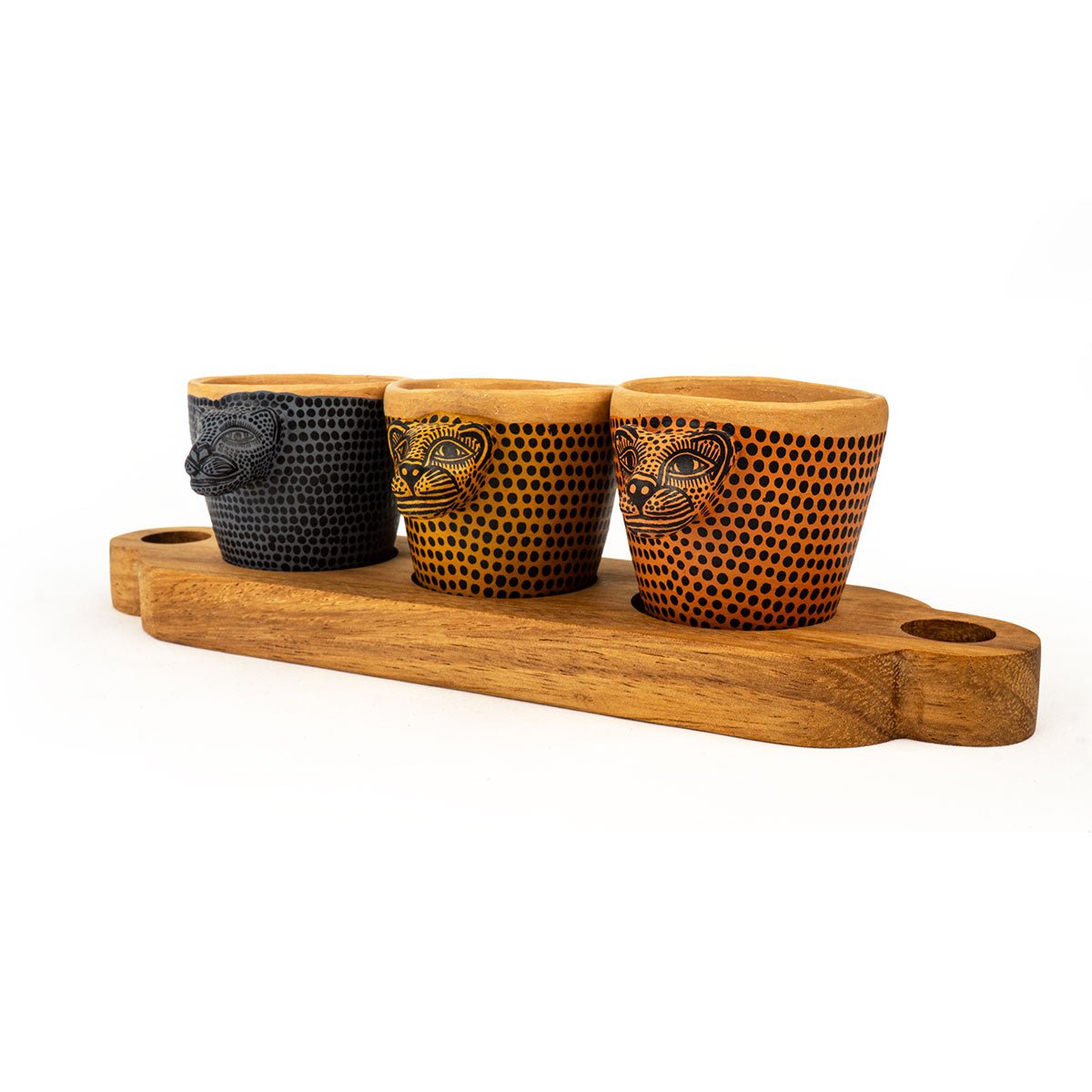 Wild Majesty Salsa Trilogy - Modern Mexico