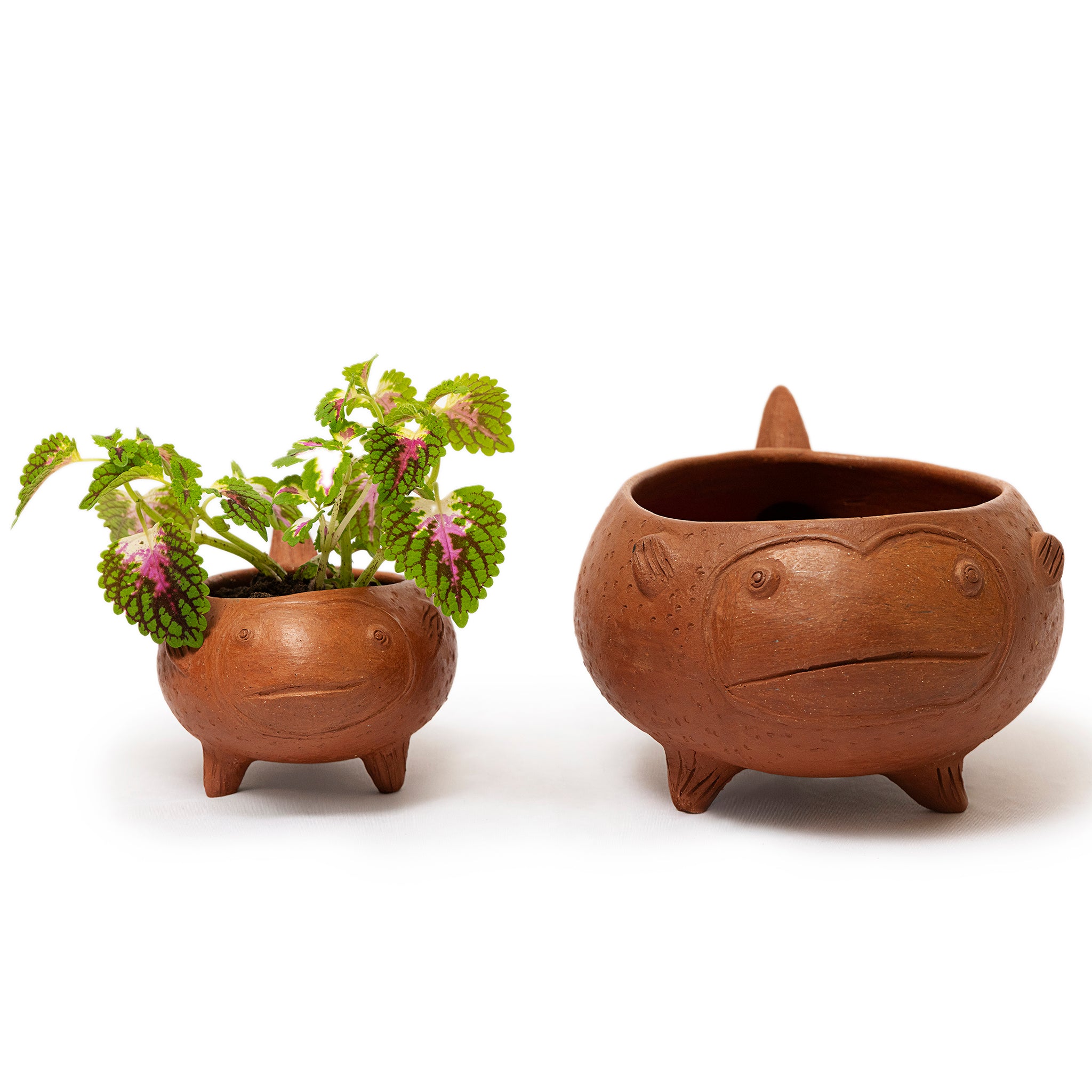 Los Peces Planters - Modern Mexico