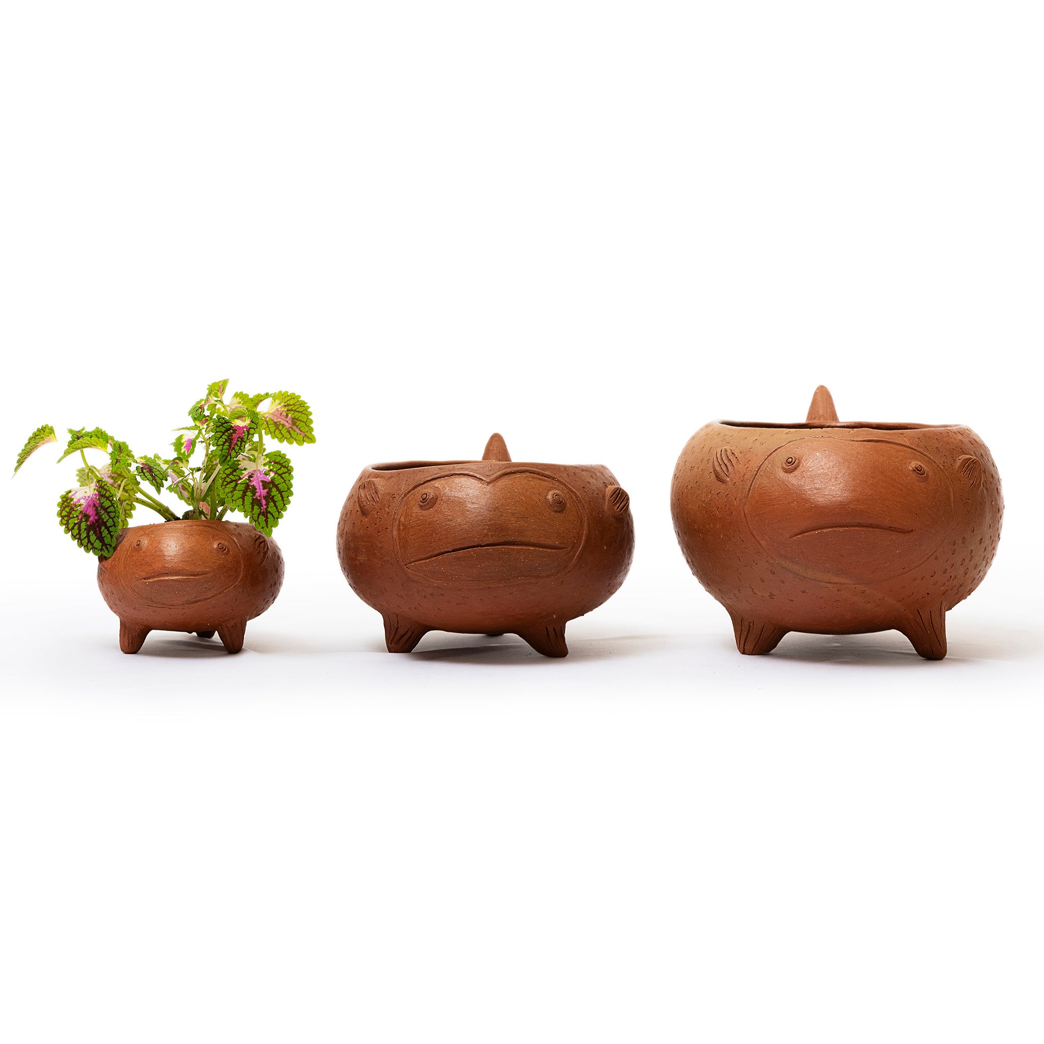 Los Peces Planters - Modern Mexico