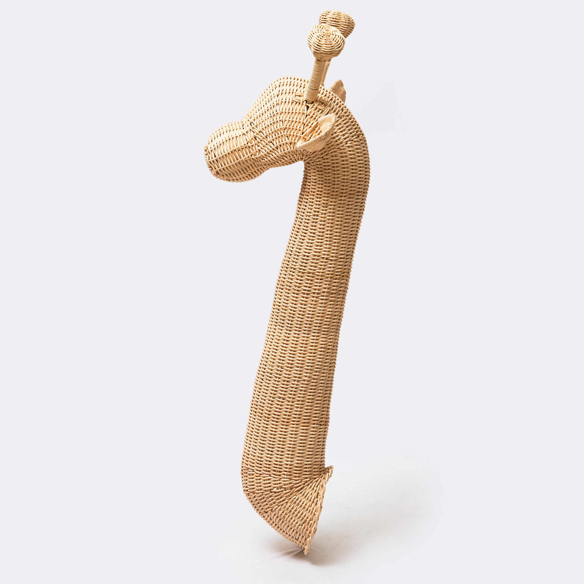 Luna the Giraffe - Modern Mexico