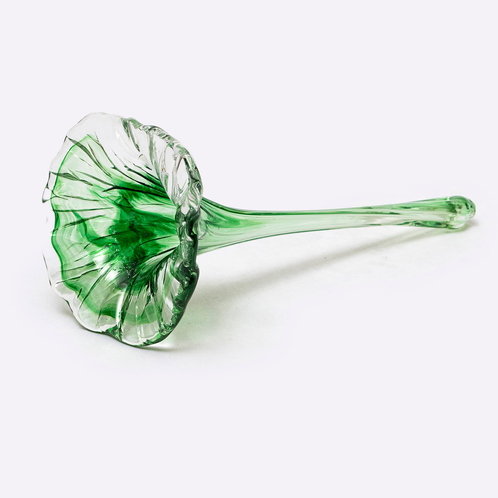 Fioré Glass Flowers - Modern Mexico