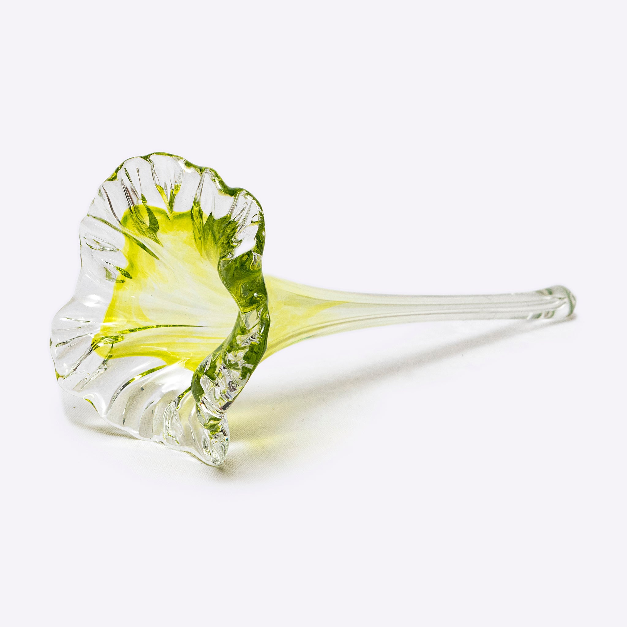 Fioré Glass Flowers - Modern Mexico