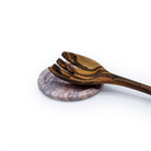 Elegant Spoon Pause - Modern Mexico