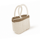 Picnic Mini Tote - Modern Mexico