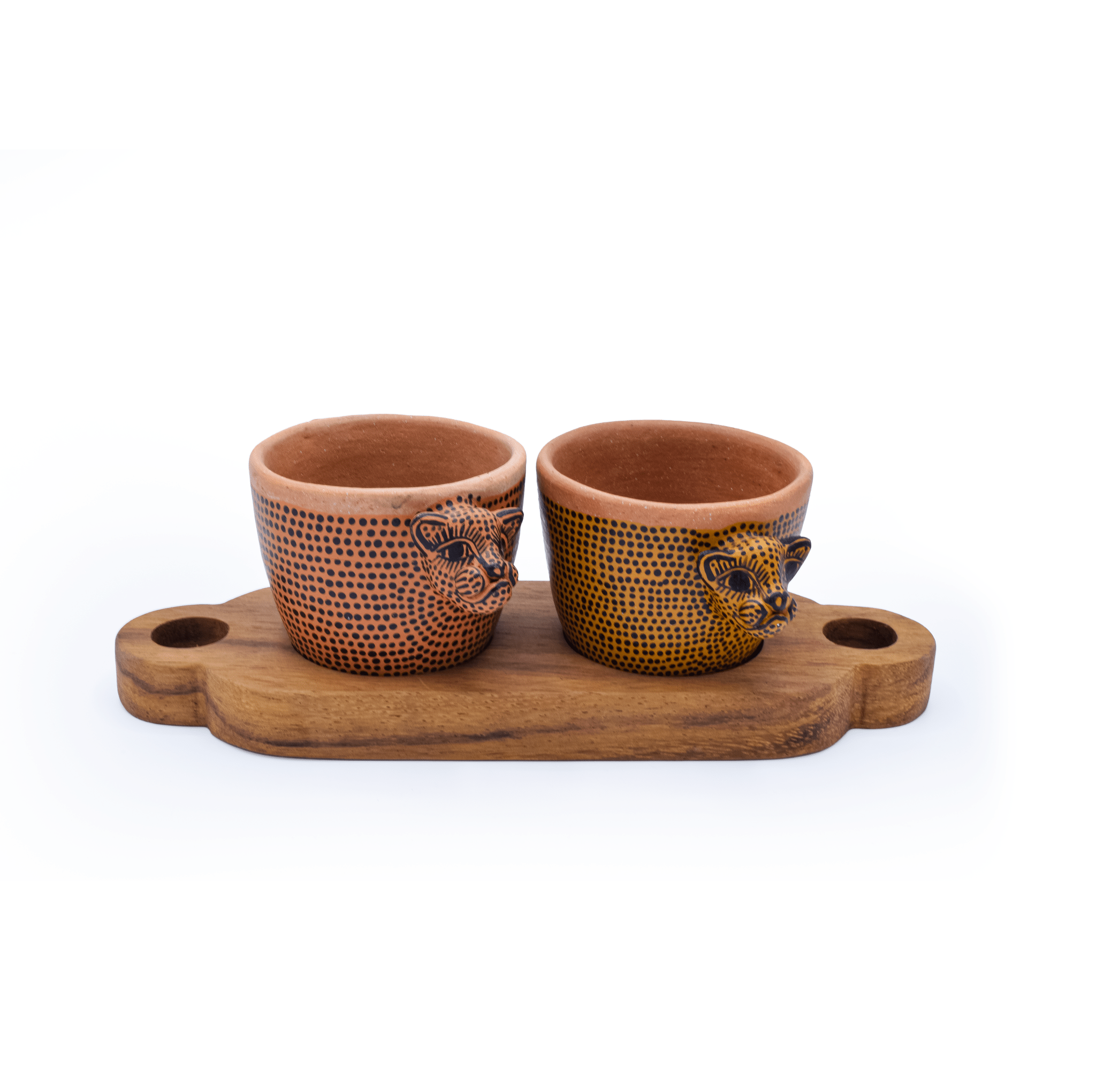 Wild Majesty Salsa Set - Modern Mexico
