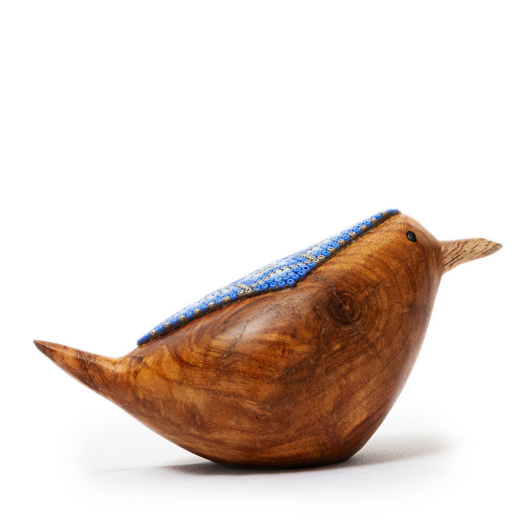 Canto Huichol - Modern Mexico