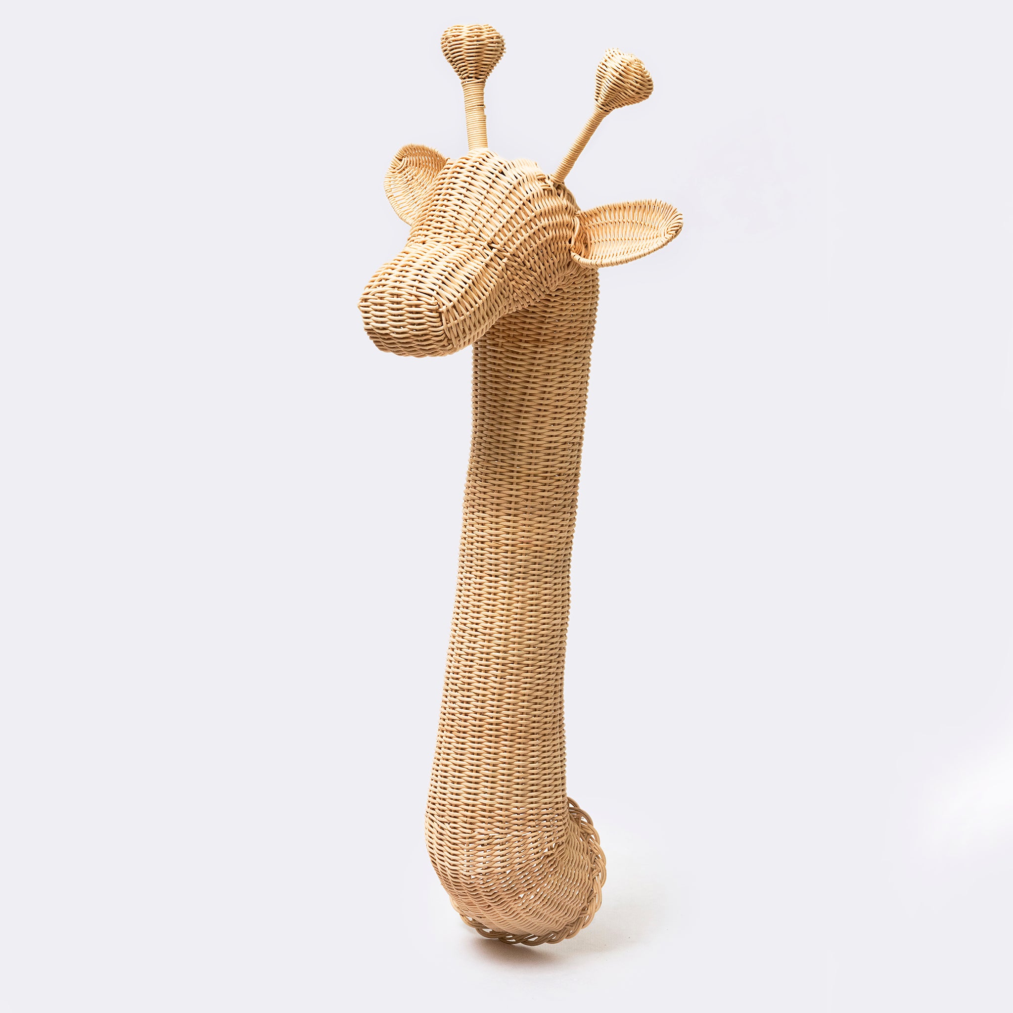 Luna the Giraffe - Modern Mexico