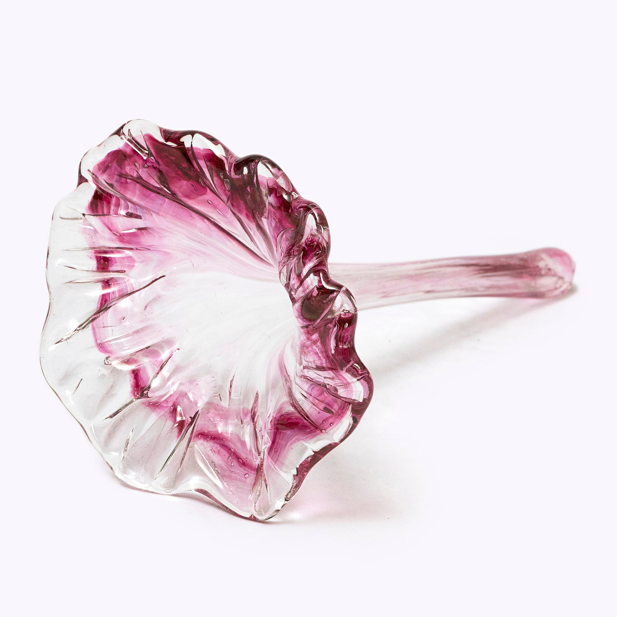 Fioré Glass Flowers - Modern Mexico
